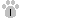 counter